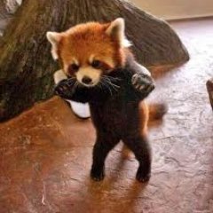 Kalogiri's profile picture.