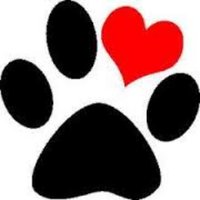 Parkway Elementary (@parkwayinvb) 's Twitter Profile