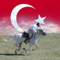 Yılmaz Ozbilge (@ylmzozblge) 's Twitter Profile