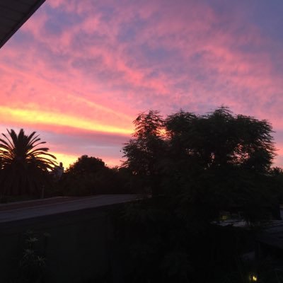 blueskyvibes1's profile picture. 