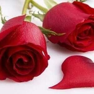 WardaAbubaker's profile picture. 