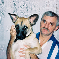 Михаил (@primerom) 's Twitter Profile