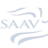 The Stoneham Alliance Against Violence (SAAV) is a local grass roots organization working to reduce violence in relationships through education and support.