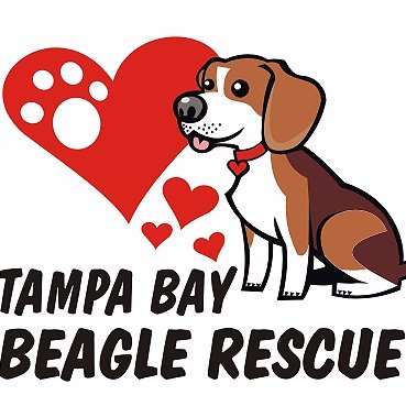 TampaBayBeagleRescue