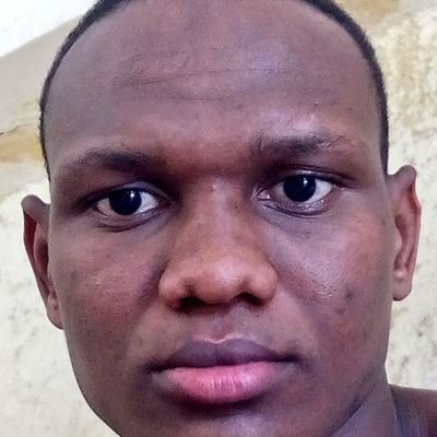 diallo16688823's profile picture. étudiant