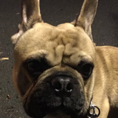 IM A BEGINNER AT TWITCH ANY SUPPORT SOULD BE AMAZING, YOU ONLY LIVE ONCE