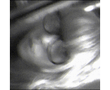 'Becky' Dutton :cp - @beckybabieee - Twitter