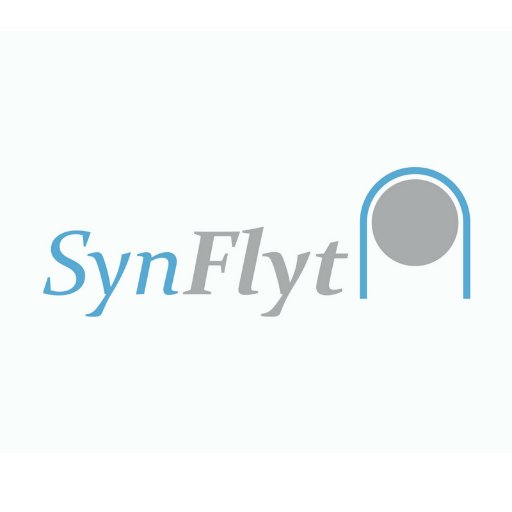 SynFlyt - Flight Simulation