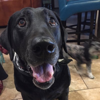 hicksb24781's profile picture. 