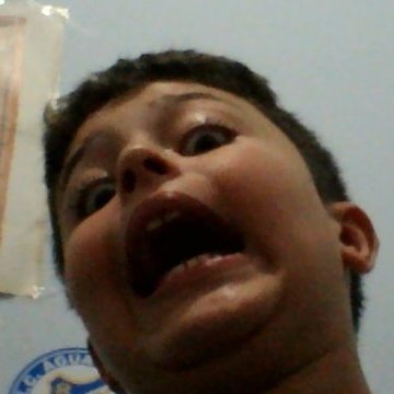 bernardinhoreal's profile picture. ベルナルド