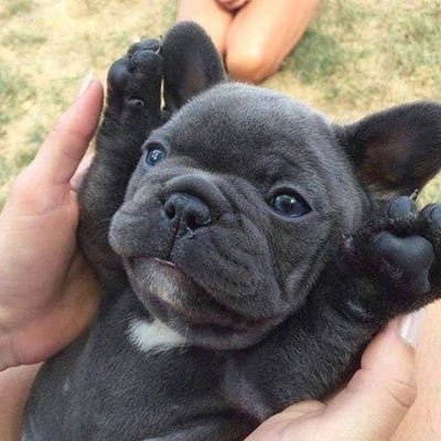 Annabelle74_7's profile picture. 