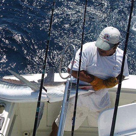 We are a team of enthusiastic developers and entrepreneurs fishing for fun.