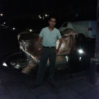 AVE FENIX (@decastro042) 's Twitter Profile