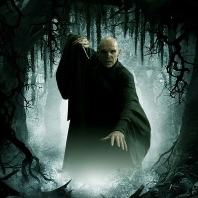 Voldyclass's profile picture. Mayor mago tenebroso de todos los tiempos.┊#Pottertty┊