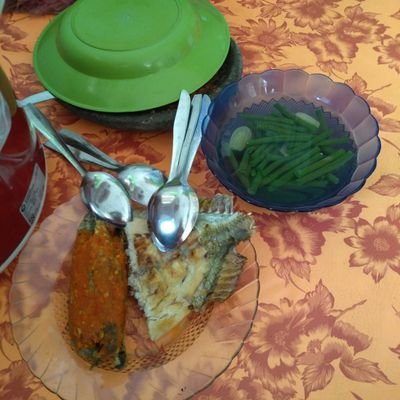 ZygePuccino's profile picture. 