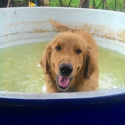 em0tion's profile picture. ไม่หล่อแต่สุจริตและเป็นมิตรกับสิ่งแวดล้อม