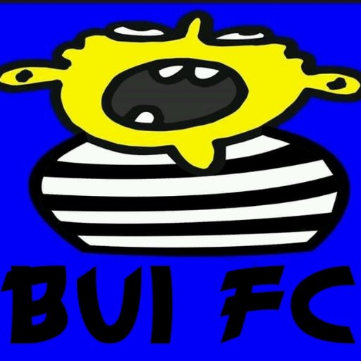 bui_fc's profile picture. Akun official dari BUI FC | Tim sepak bola e-sport @footballmanager | Peserta IDFM Premier League | Part of @idfmleague |