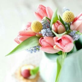 elyaqoob84's profile picture. 