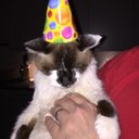 Brandon Cheek - @bcheek - Twitter