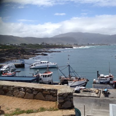 Cor_Toit's profile picture. 