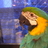 asanomin's profile image