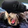 chaostheorem's profile picture. Desperately trying to survive the IT warzone, stumbling through VR/AR/MR/XR... don't know what to call it anymore. (We're calling it 'spatial computing' now?)