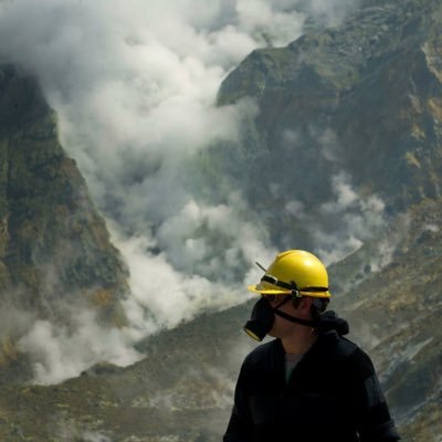 The New Zealand Herald's science reporter