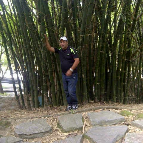 maita_alcides's profile picture. 