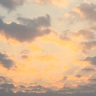 JSFcOhmcDesVQ8w's profile picture. 最近いらいら気味