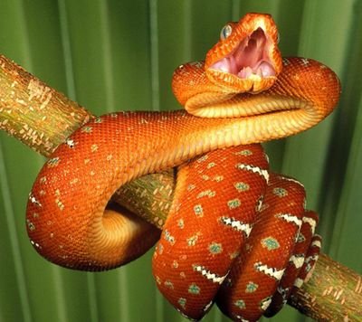 coENRNCB8uNL2ap's profile picture. Sakil Ali