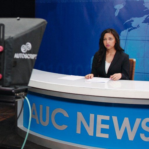 PDPAUC's profile picture. The Professional Development Program provides media training courses in the field of Television and Digital Journalism for professionals and non-professionals.