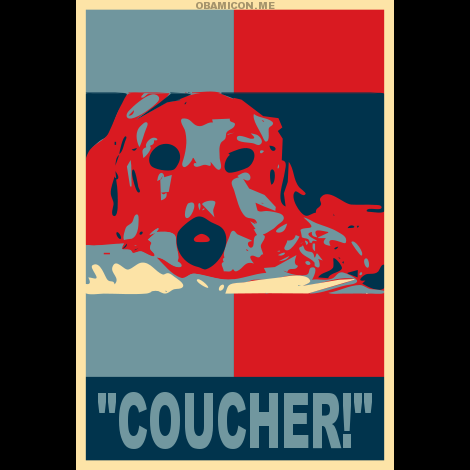 Some say I'm a mutt, but I prefer to think of myself as a canine poet of the 5-7-5 variety. I'm also a certified therapy dog.