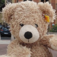 Flynn Bear(@FlynnTheBear) 's Twitter Profile Photo