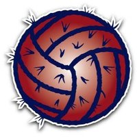 Club Cactus Juniors (Est 1992) (@clubcactusvb) 's Twitter Profile