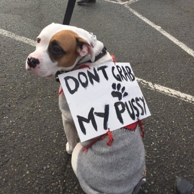 EZGreetshop's profile picture. 