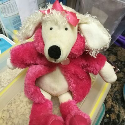 Johanna9898's profile picture. 