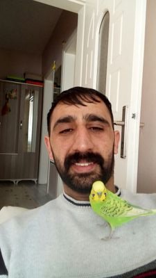 Ramazan70082808's profile picture. 