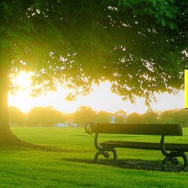 smartsupport3's profile picture. 😎😎😎