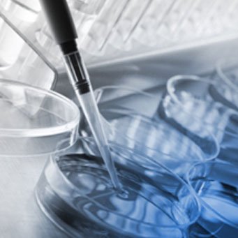 accessbiollc's profile picture. 