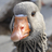 blaveder's profile image