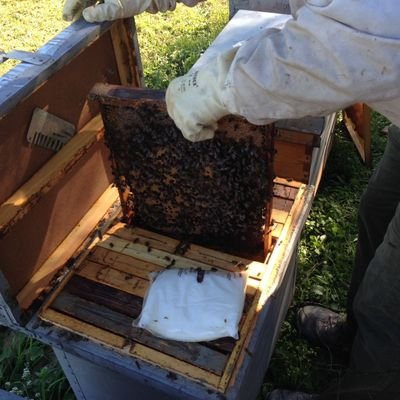 Apriomel es una empresa apícola familiar. Nuestra pasión se remonta a que mis tíos y abuelos.Mi mujer y yo hemos hecho de esta pasión nuestra forma de vida 🐝