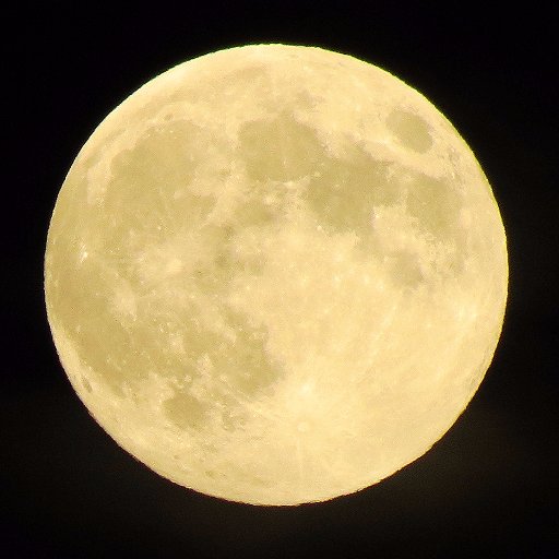 Indreba's profile picture. Musician, composer.  I block all trolls