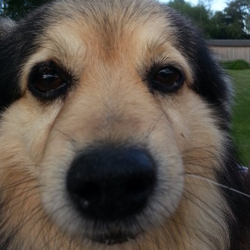 iwo1111's profile picture. "To, że milczę, nie znaczy, że nie mam nic do powiedzenia." J. Carroll