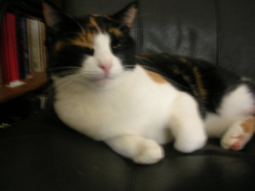 zaqxswcde99182's profile picture. 