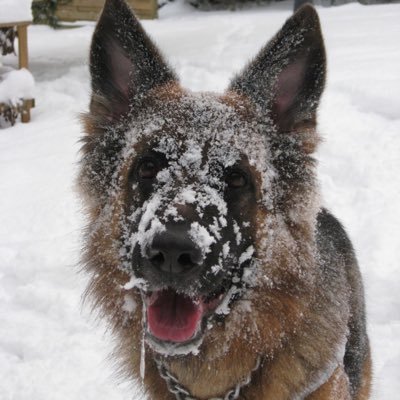 marika_vainio's profile picture. 