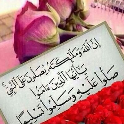 qplp0554558's profile picture. 