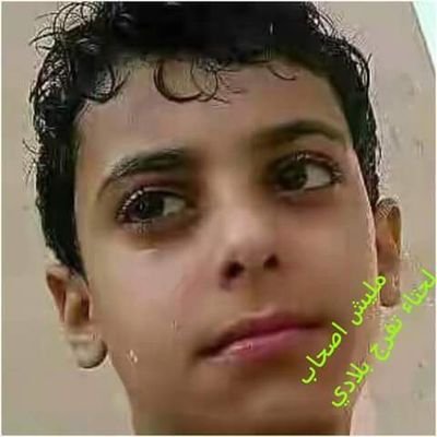 0WFPLXIfbDMIR2e's profile picture. 