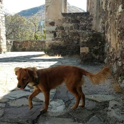 Fungata's profile picture. 