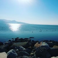 Zeynep Inal (@zeynepinal35) Twitter profile photo