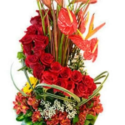 moroneshdez's profile picture. 